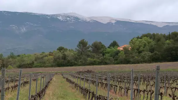 Place politique : élections régionales 2021, le parc naturel du Ventoux