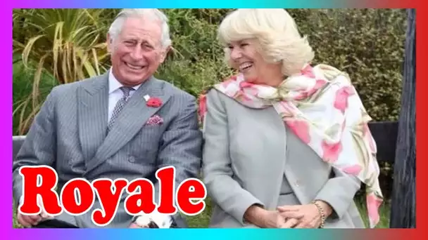 Charles et Camilla attirent l'attention sur un anniv3rsaire spécial - Do It Yourself