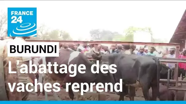 Burundi : l'abattage des vaches reprend après 3 mois d'interdiction • FRANCE 24