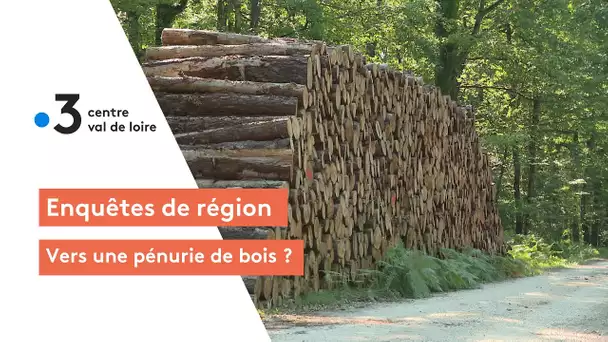 Environnement : vers une pénurie de bois pour l'ameublement, la construction, les consommateurs...