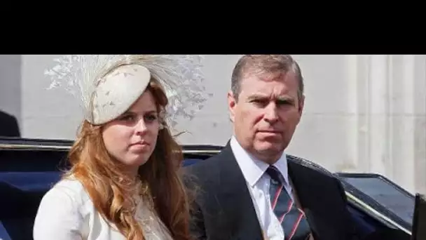 Le cadeau de 750 000 £ du prince Andrew d'un banquier turc "devait financer le mariage de Béatrice"