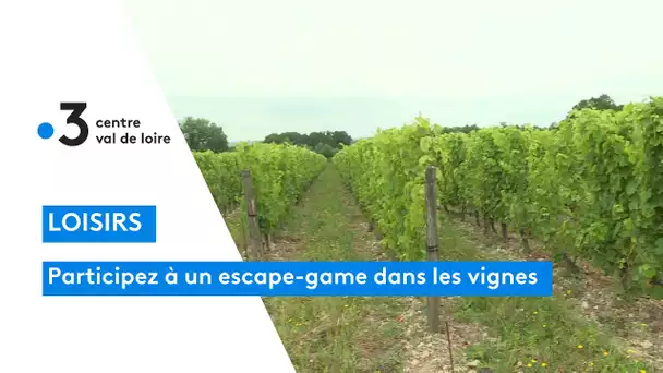 Touraine : jouez à un escape game dans les vignes