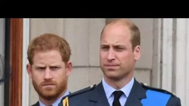 Prince Harry : selon son frère William, il serait « à côté de la plaque »