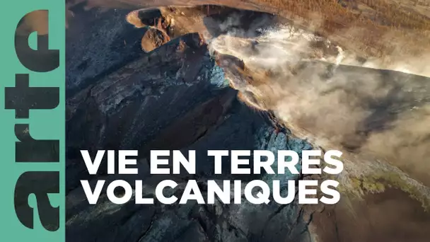 La Palma | Canaries, les îles-volcans | ARTE Family