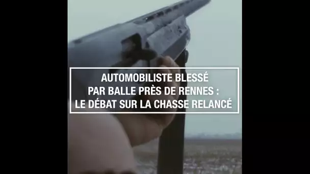 Automobiliste blessé par balle près de Rennes : le débat sur la chasse relancé