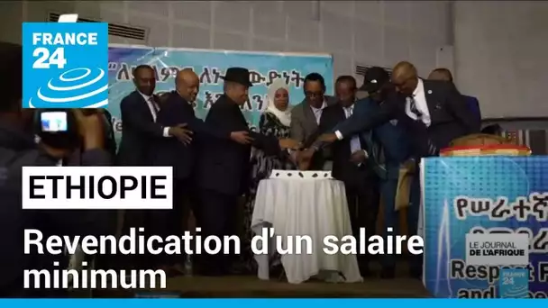 Journée internationale du travail en Ethiopie : revendication d'un salaire minimum • FRANCE 24