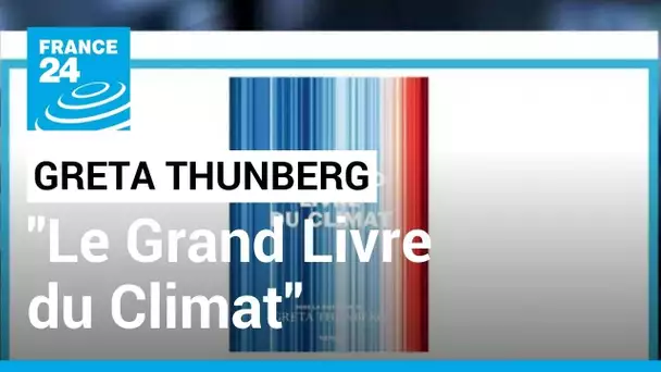 "Le Grand Livre du Climat" : Greta Thunberg publie son "manuel pour changer le monde" • FRANCE 24