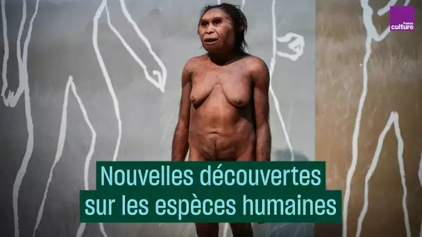 Origine des hommes : l&#039;enjeu des récentes découvertes, avec Jean-Jacques Hublin - #CulturePrime