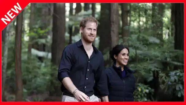 ✅  Meghan Markle et Harry : après plusieurs ratés, ils réorganisent leur communication