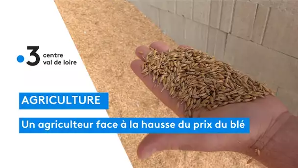 Un agriculteur face à la hausse annoncée du prix du blé dur