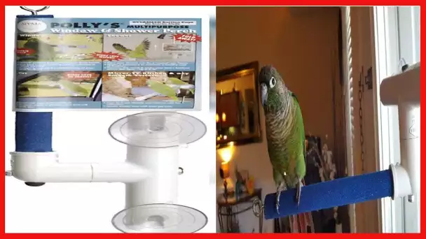 Polly's Sandy Window and Shower Bird Perch, Small