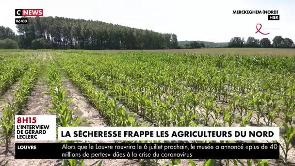 La sécheresse frappe les agriculteurs du Nord