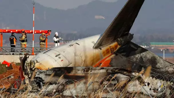 Crash d'un avion en Corée du Sud : ce que l'on sait de la catastrophe aérienne qui a fait 179 mort