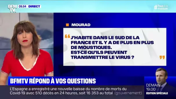 Les moustiques peuvent-ils transmettre le coronavirus ? BFMTV répond à vos questions