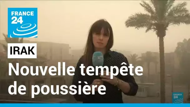 Irak : une nouvelle tempête de poussière paralyse les aéroports et l'économie • FRANCE 24