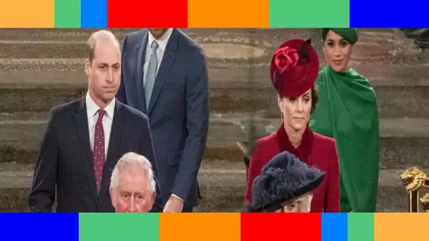 Camilla future reine  pendant que le prince Charles négociait son statut, William et Harry fulminai