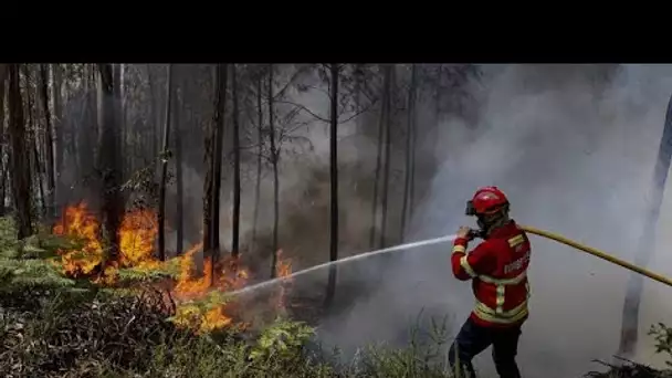 Les flammes continuent de s'emparer du Portugal