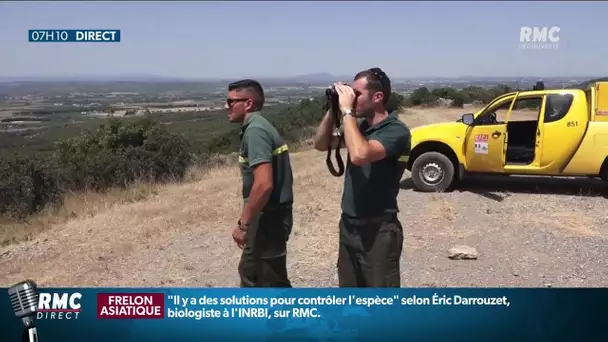 Feux de forêt: les sapeurs forestiers et les agents de l’office national des forêts sur le qui-vive