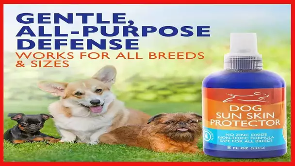 EBPP Dog Sun Skin Protector Spray - Safe for All Breeds with No Zinc Oxide - Pet Protection