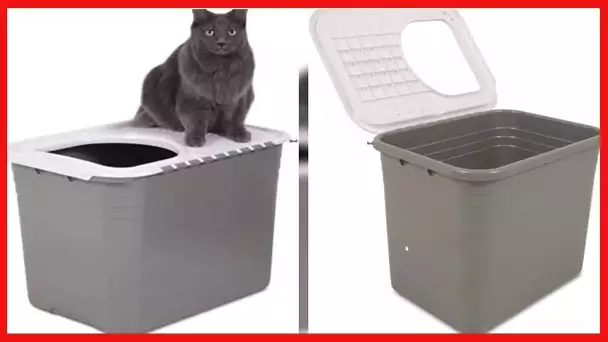 Petmate Top Entry Litter Cat Litter Box With Filter Lid To Clean Paws