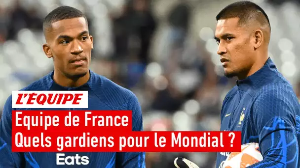 Équipe de France - Mandanda 3e gardien ? Notre liste des 23 pour le Mondial