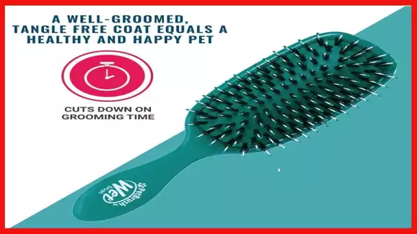 Wet Brush Pet Brush, Smooth & Shine Dog and Cat Brush - Teal (BPET833TEAL)