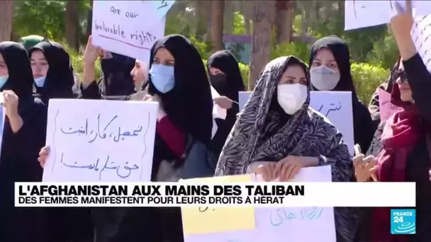 Afghanistan : des femmes manifestent pour leurs droits à Hérat • FRANCE 24