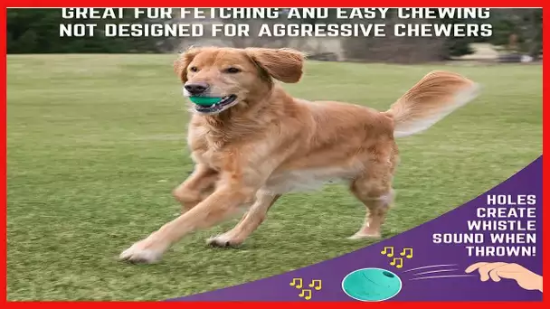 Chew King Fetch Balls Extremely Durable Natural Rubber Toy 2.5 inch, 8-pack (CM-0264-CS01)