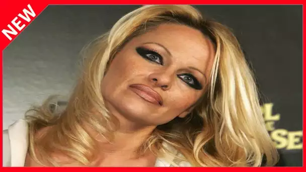 ✅  « Briseuse de ménage » : Pamela Anderson mariée, l'ex de son 6e époux fulmine