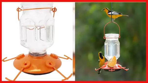 Perky-Pet 9113-2 Top-Fill Glass Oriole Feeder – 22 Oz