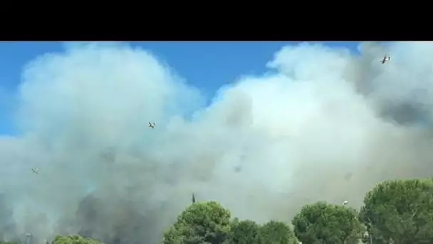 Portugal, France : nouveaux feux de forêt sur fond de canicule