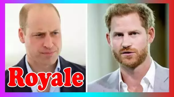 Harry et William 'ne guérira pas' alors que duc de Sussex a mis en g@rde contre les fouilles à Kate