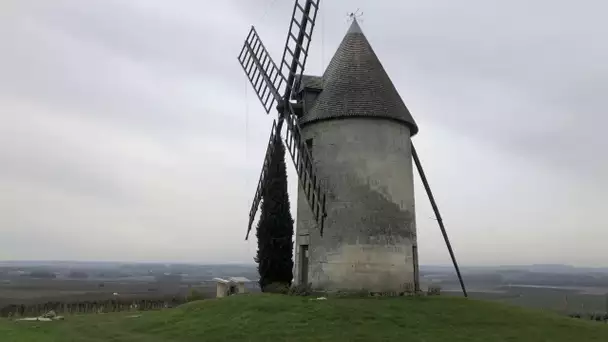 "Tous les chemins mènent à vous" à Sainte-Lheurine en Charente-Maritime