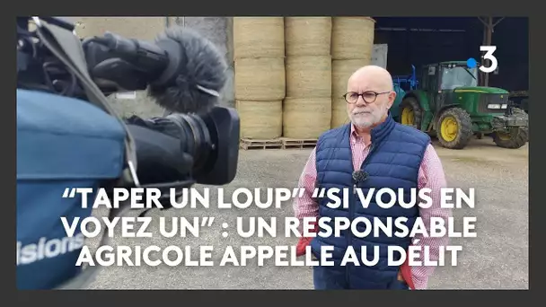 "Taper un loup" "si vous en voyez un : l'appel au délit d'un responsable agricole en Haute-Saône