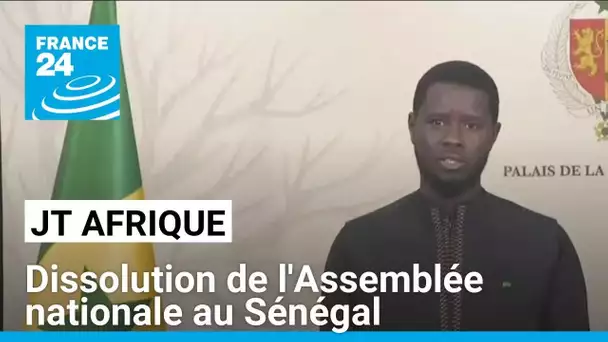 Sénégal : Diomaye Faye dissout l'Assemblée, nouvelles élections le 17 novembre • FRANCE 24