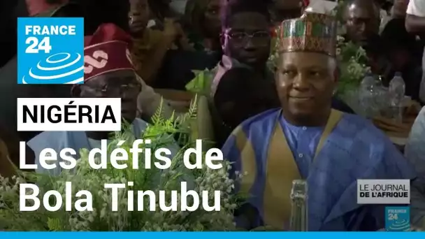 Élection à la présidence nigériane de Bola Tinubu : les immenses défis "du parrain de Lagos"