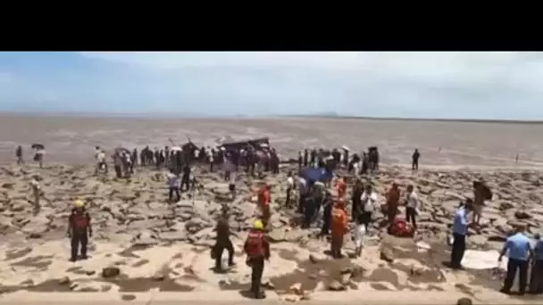 Douze baleines retrouvées échouées sur une plage de l'est de la Chine