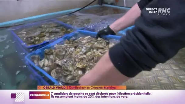 En Charente-Maritime, les producteurs d'huîtres sont en colère