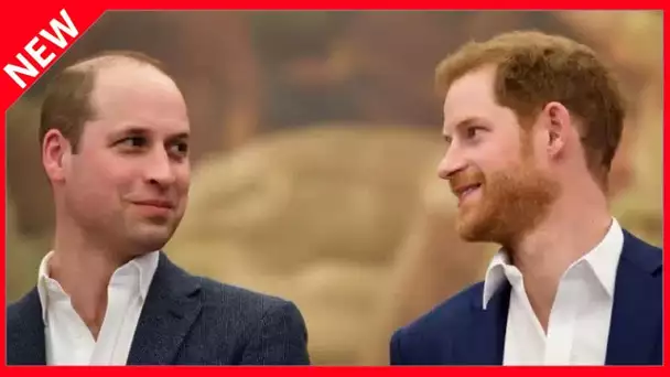 ✅  Prince William : cette énième main tendue à son frère Harry et Meghan Markle