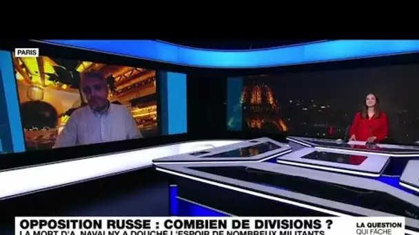 Opposition russe : combien de divisions? • FRANCE 24