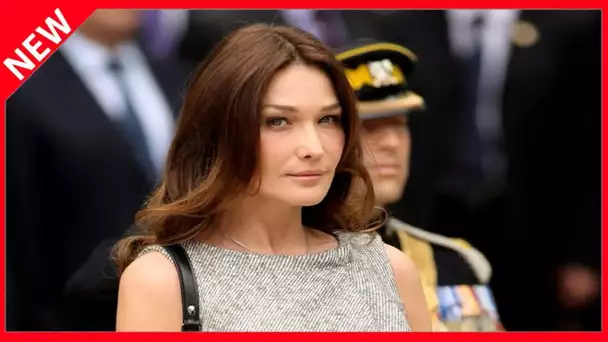 ✅  Carla Bruni-Sarkozy : après Le Pingouin, elle fait l’éloge du Guépard