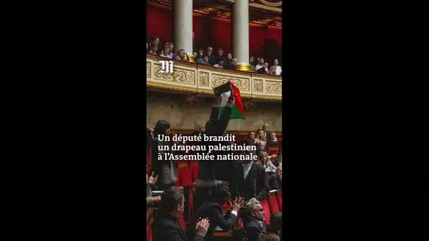 Un député brandit un drapeau national palestinien à l’Assemblée nationale