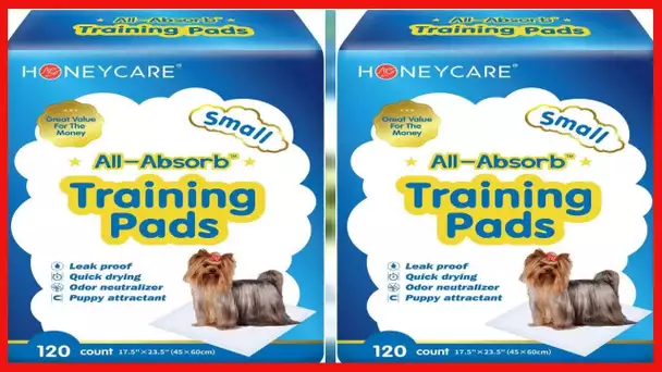 Honey Care All-Absorb, Small 17.5" x 23.5", 120 Count, Dog and Puppy Training Pads, Ultra Absorbent