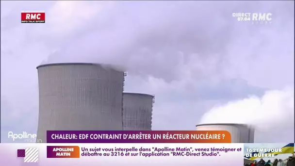 Canicule : EDF contraint d'arrêter un réacteur nucléaire ?