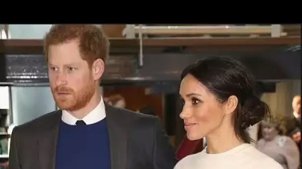 Le prince Harry et Meghan "se sentent très instables" alors qu'ils sont confrontés à une "longue lis