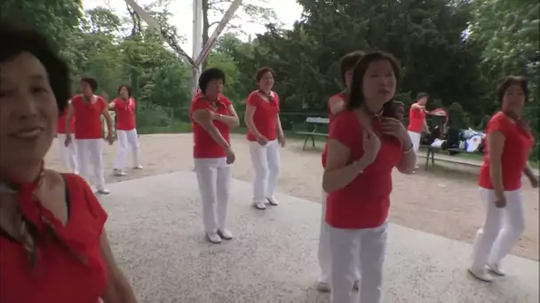 Ces chinoises qui ont réussi en France