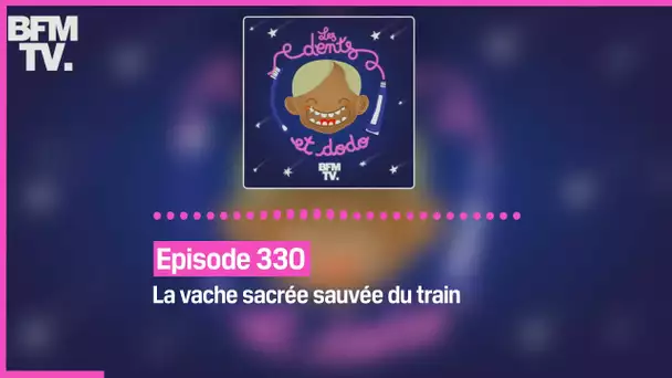 Episode 330 : La vache sacrée sauvée du train  - Les dents et dodo