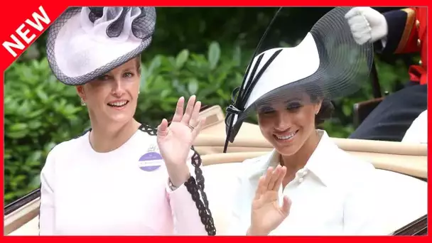 ✅  Sophie de Wessex : comment elle a fait oublier Meghan