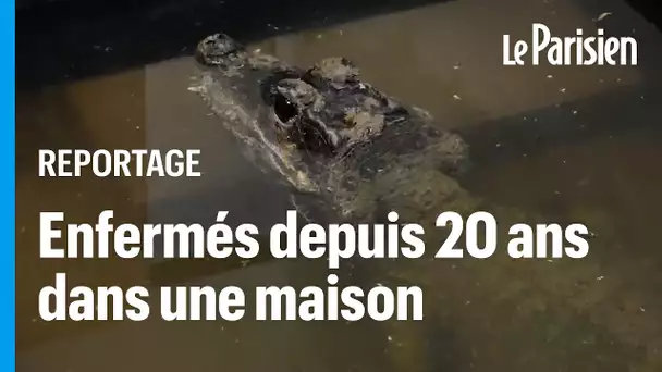 Après 20 ans de captivité, Sandra doit faire partir ses deux crocodiles de son sous-sol