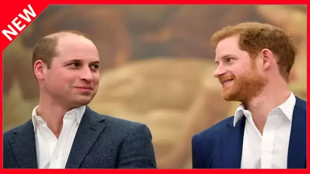 ✅  Princes Harry et William : après un obstacle majeur, la date de leurs retrouvailles confirmée